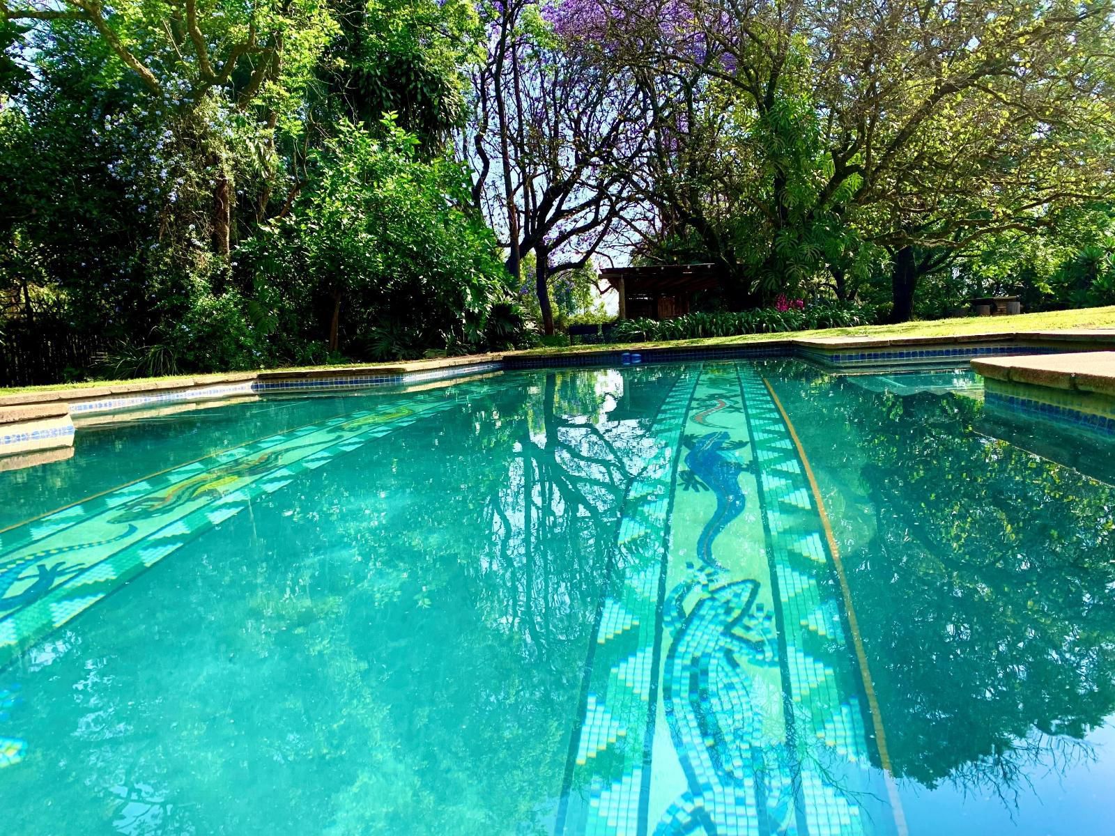 The Stone House White River Mpumalanga South Africa Garden, Nature, Plant, Swimming Pool