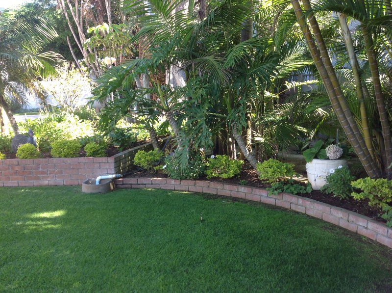 The Studio At Brighton Manor Summerstrand Port Elizabeth Eastern Cape South Africa Palm Tree, Plant, Nature, Wood, Garden