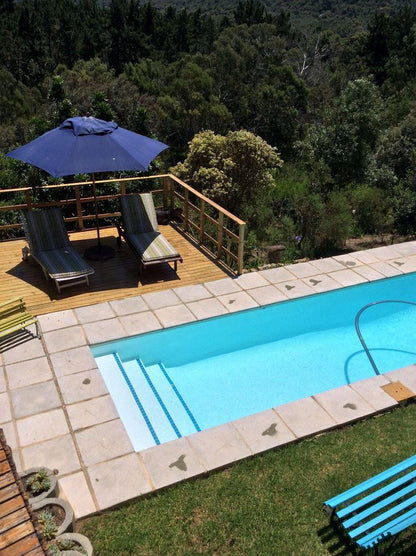 The Studio In Plett Beacon Island Estate Plettenberg Bay Western Cape South Africa Complementary Colors, Swimming Pool