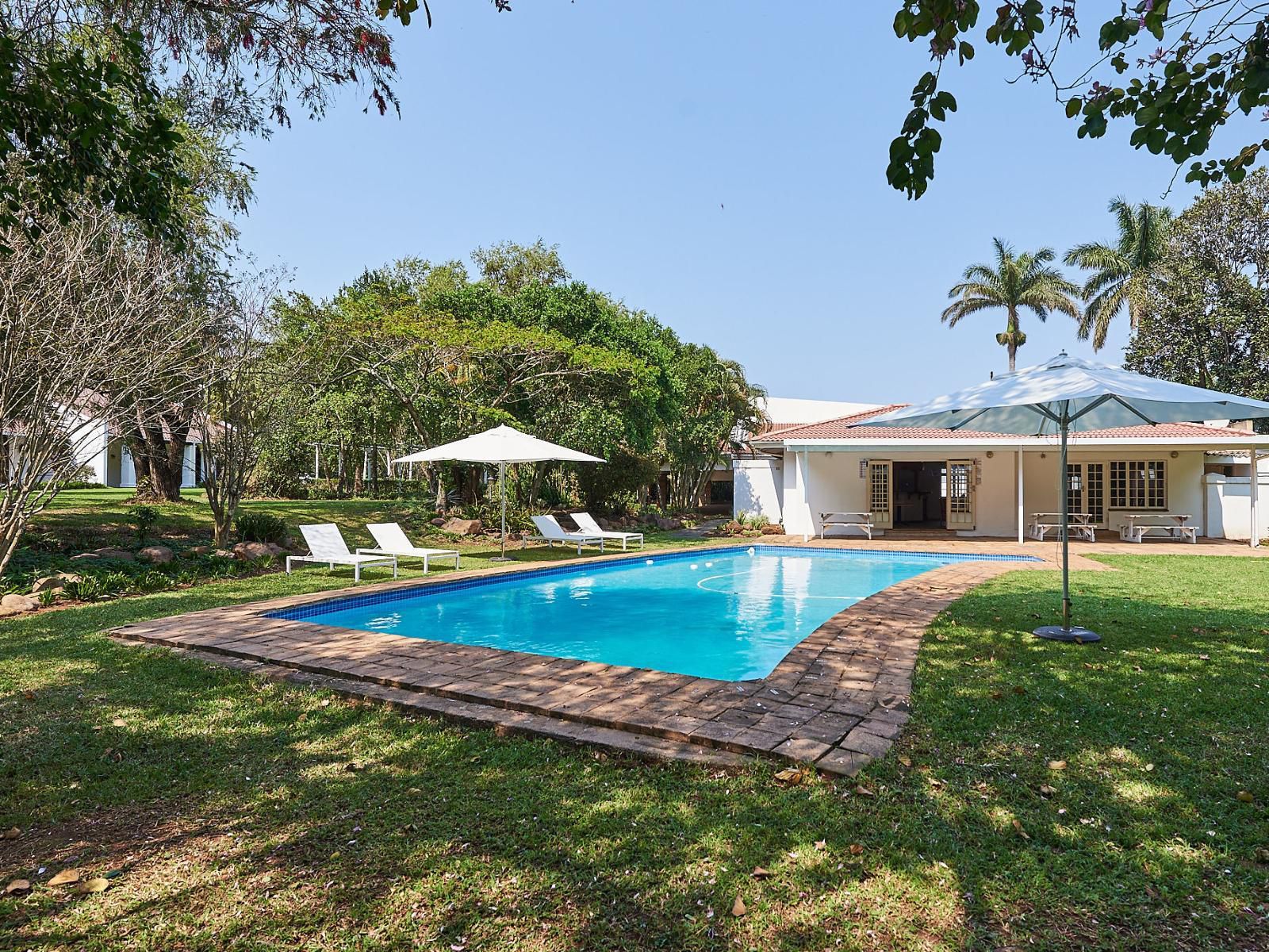 The Sunbird Gingindlovu Kwazulu Natal South Africa Complementary Colors, Palm Tree, Plant, Nature, Wood, Swimming Pool