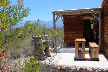 The Travelling Tortoise De Rust Western Cape South Africa Complementary Colors, Cabin, Building, Architecture