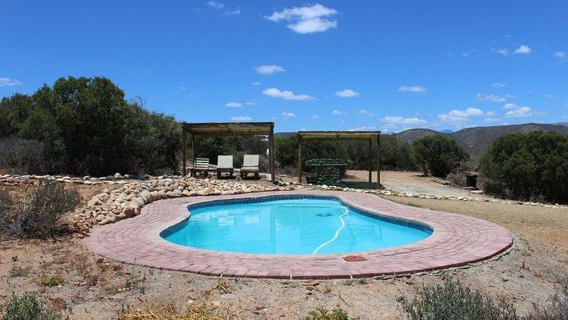 The Travelling Tortoise De Rust Western Cape South Africa Swimming Pool