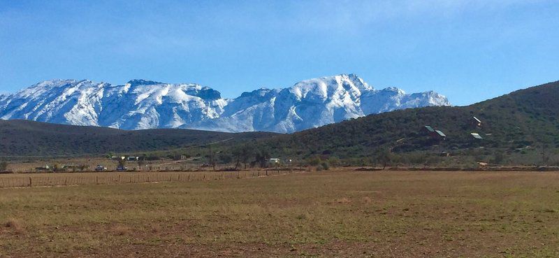 The Travelling Tortoise De Rust Western Cape South Africa Mountain, Nature