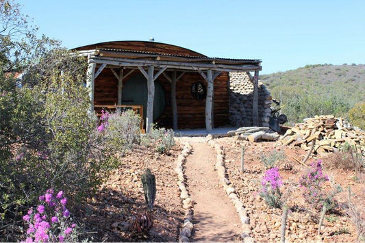 The Travelling Tortoise De Rust Western Cape South Africa Complementary Colors, Cabin, Building, Architecture, Cactus, Plant, Nature
