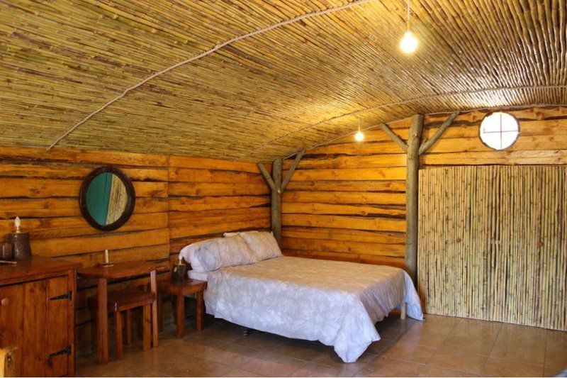 The Travelling Tortoise De Rust Western Cape South Africa Colorful, Sauna, Wood