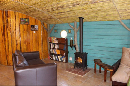 The Travelling Tortoise De Rust Western Cape South Africa Complementary Colors, Fireplace, Living Room