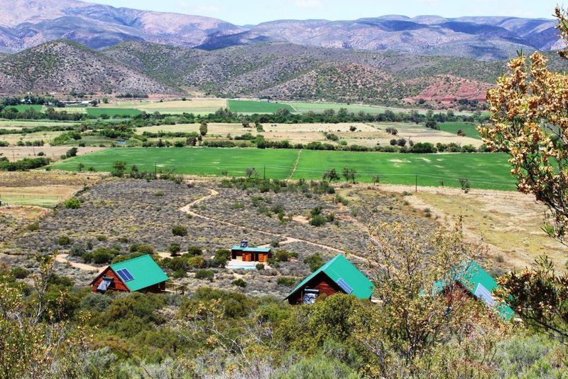 The Travelling Tortoise De Rust Western Cape South Africa 