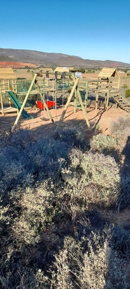 The Travelling Tortoise De Rust Western Cape South Africa Complementary Colors, Cactus, Plant, Nature, Gate, Architecture