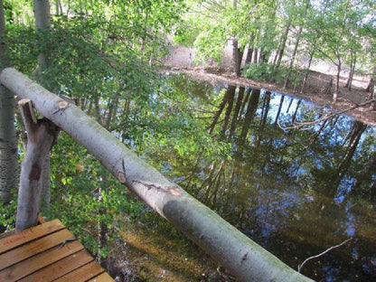 The Treehouse Carnarvon Northern Cape South Africa Forest, Nature, Plant, Tree, Wood, River, Waters