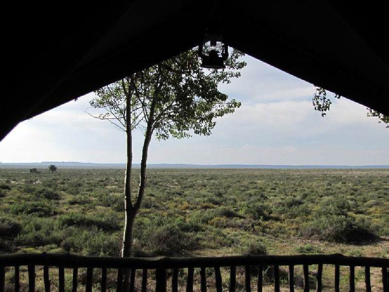 The Treehouse Carnarvon Northern Cape South Africa Lowland, Nature