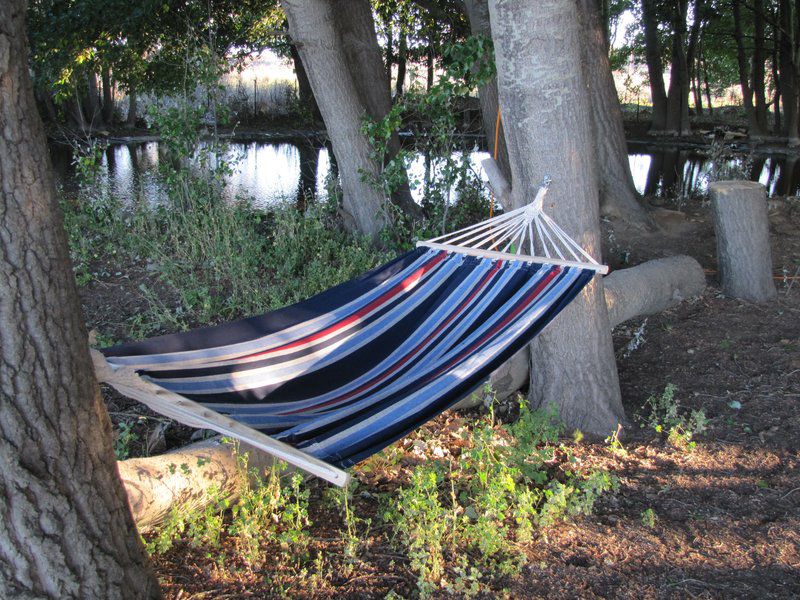 The Treehouse Carnarvon Northern Cape South Africa Boat, Vehicle, Canoe