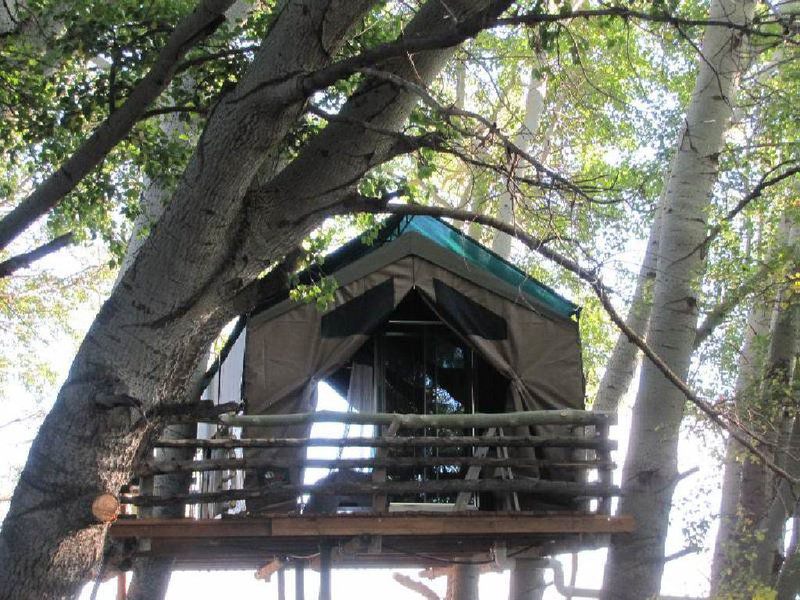The Treehouse Carnarvon Northern Cape South Africa 