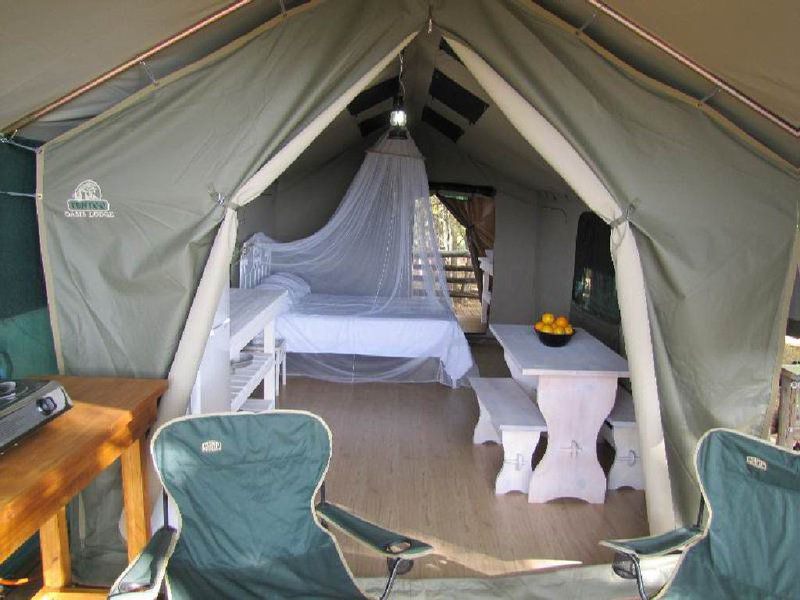 The Treehouse Carnarvon Northern Cape South Africa Tent, Architecture