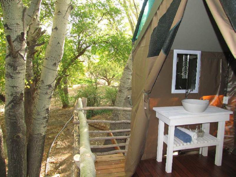 The Treehouse Carnarvon Northern Cape South Africa Tree, Plant, Nature, Wood