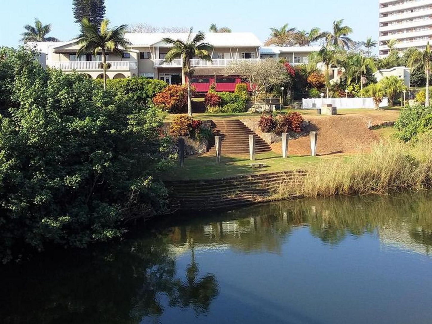 The Tweni Waterfront Guest Lodge, Palm Tree, Plant, Nature, Wood