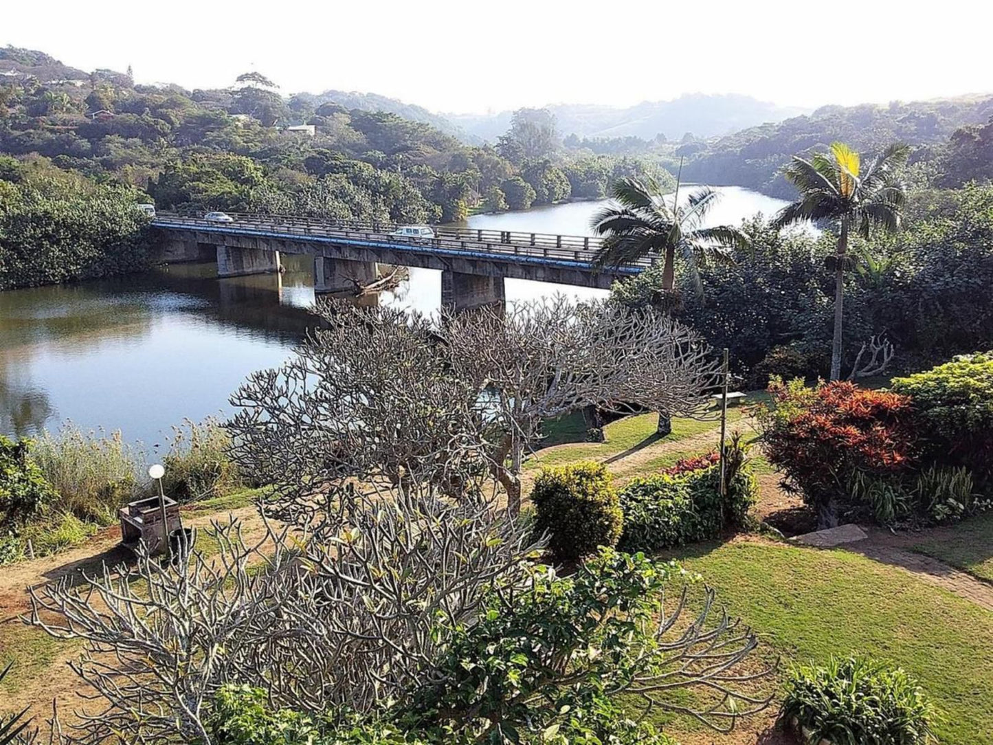 The Tweni Waterfront Guest Lodge, Bridge, Architecture, Palm Tree, Plant, Nature, Wood, River, Waters, Garden