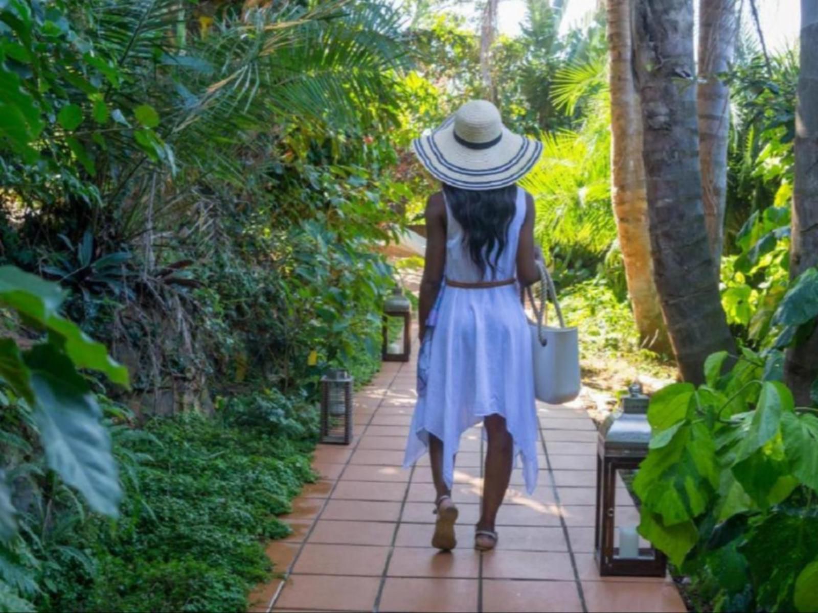 The View Boutique Hotel & Spa, Palm Tree, Plant, Nature, Wood, Person, Portrait