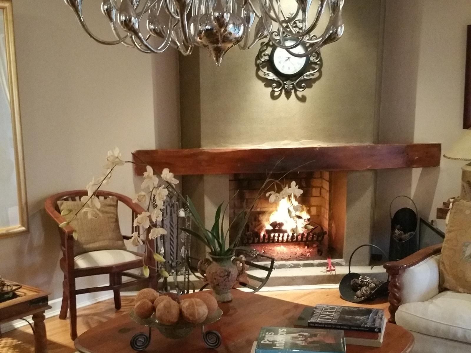 Bergview Guesthouse Swellendam Swellendam Western Cape South Africa Sepia Tones, Fire, Nature, Fireplace, Living Room