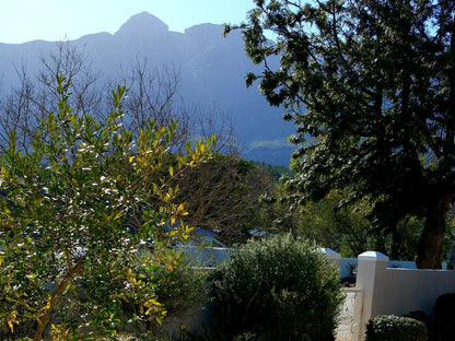 Bergview Guesthouse Swellendam Swellendam Western Cape South Africa Mountain, Nature, Garden, Plant