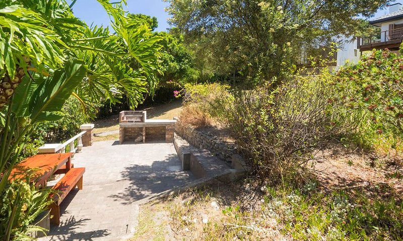 The Villa At The Rambler S Rest Paradise Knysna Western Cape South Africa Palm Tree, Plant, Nature, Wood, Garden