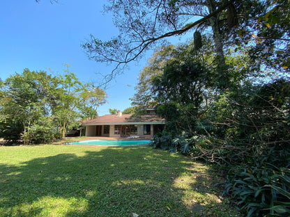 The Village Grove Richards Bay Kwazulu Natal South Africa Palm Tree, Plant, Nature, Wood