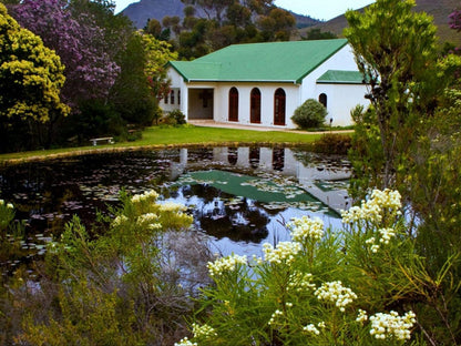 The Volmoed Trust, Garden, Nature, Plant