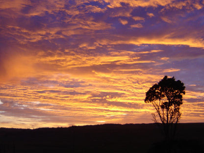 The Westlodge Graskop Graskop Mpumalanga South Africa Sky, Nature, Sunset