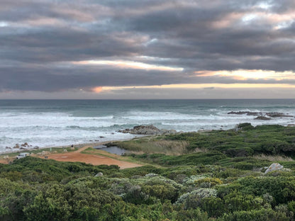 The Whale On Main Bandb Hermanus Western Cape South Africa Beach, Nature, Sand, Ocean, Waters