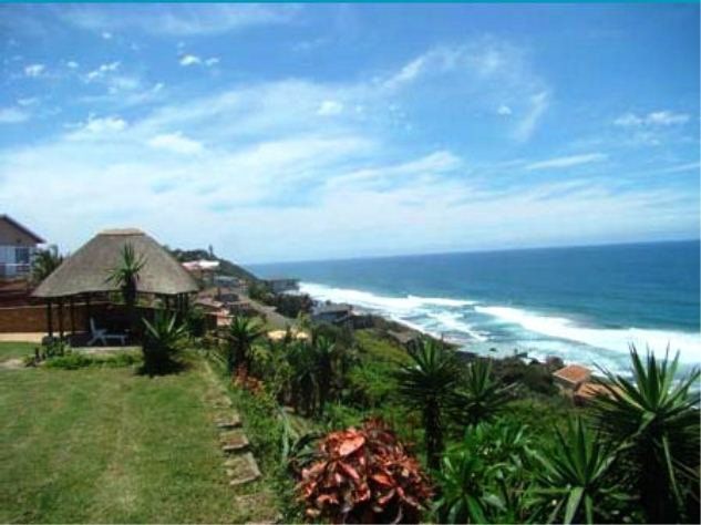 The Whale S Tale The Bluff Durban Kwazulu Natal South Africa Complementary Colors, Beach, Nature, Sand, Palm Tree, Plant, Wood