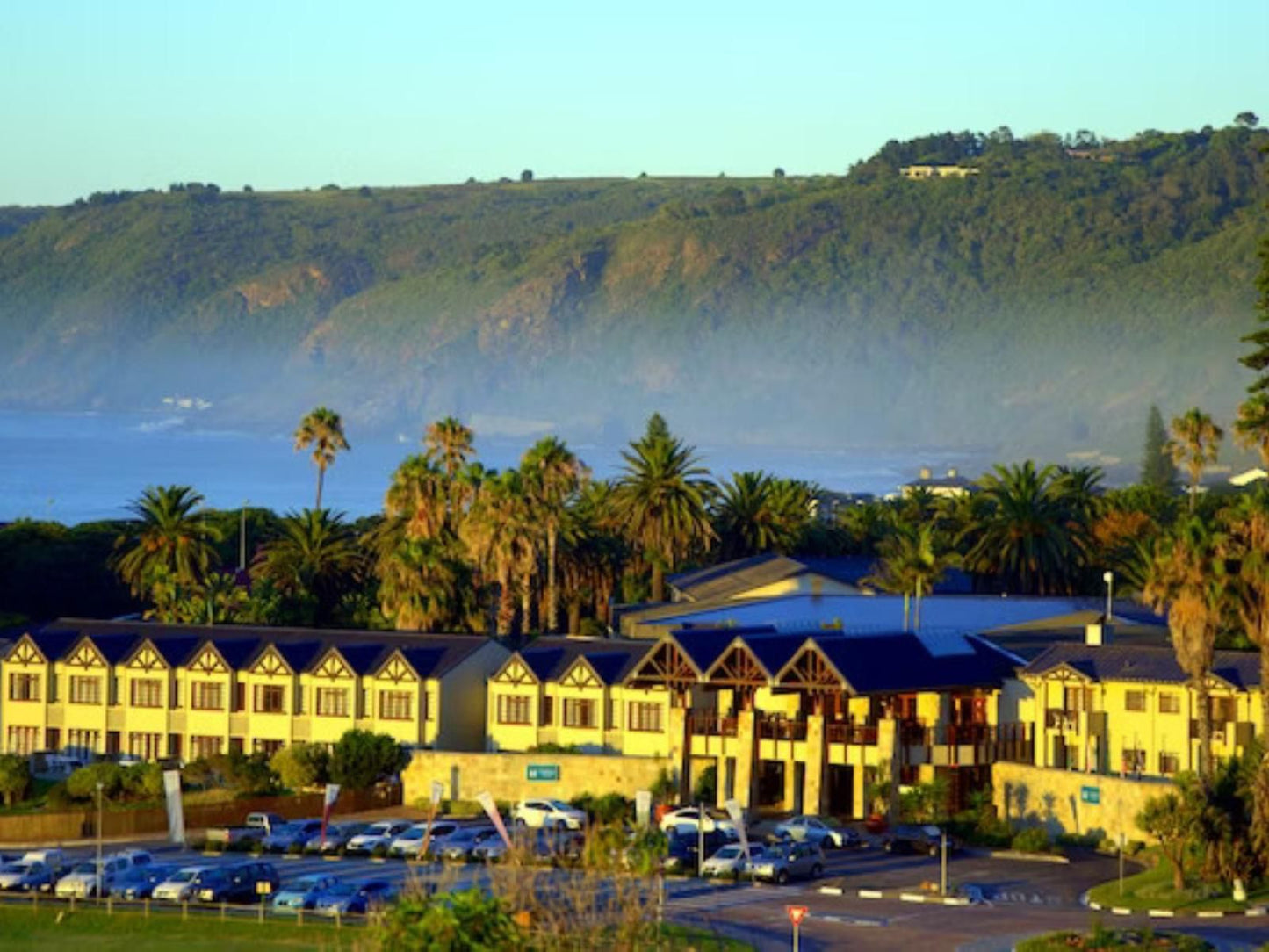 The Wilderness Hotel, Beach, Nature, Sand, Palm Tree, Plant, Wood