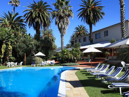 The Wilderness Hotel, Palm Tree, Plant, Nature, Wood, Swimming Pool