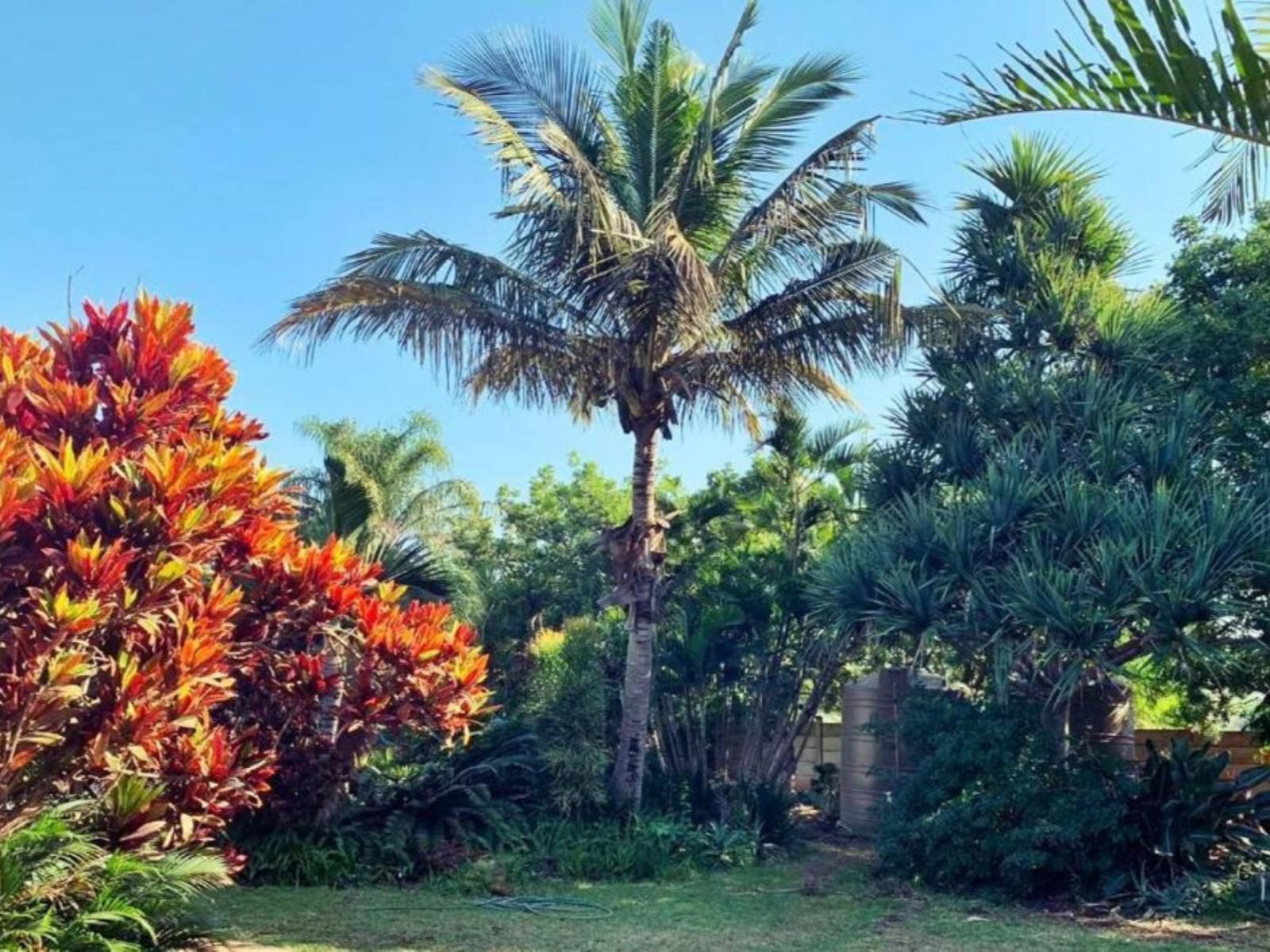 The Wilds Guest House Hluhluwe Kwazulu Natal South Africa Palm Tree, Plant, Nature, Wood