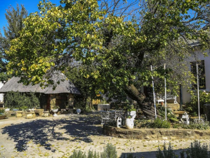 The Green Acorn Guest House Ficksburg Free State South Africa Ruin, Architecture