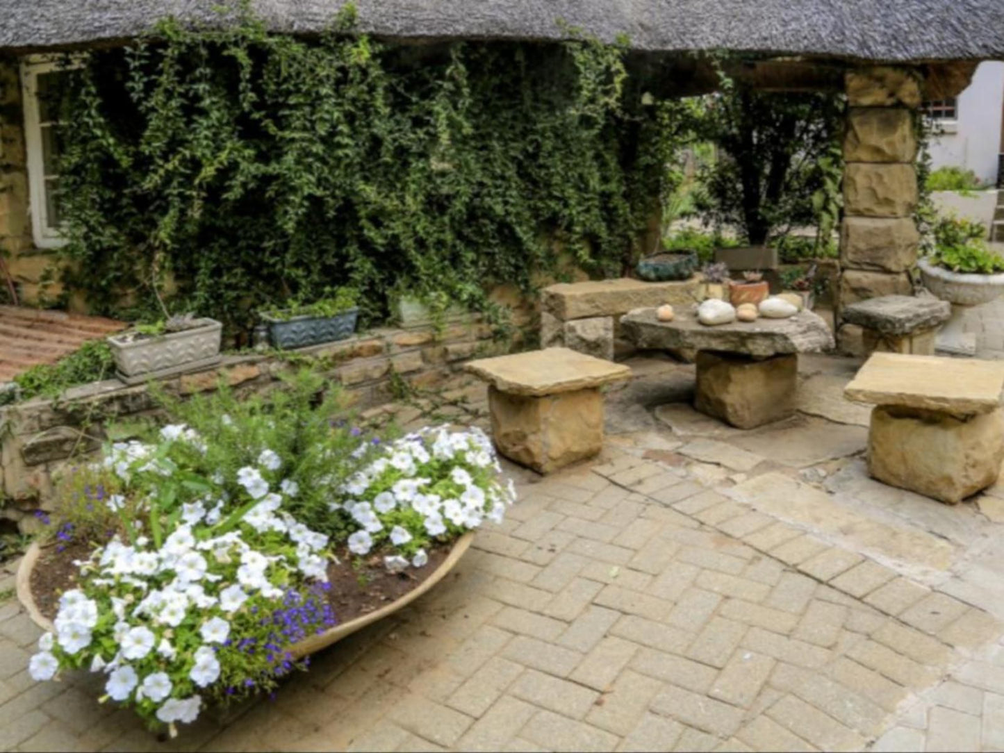 The Green Acorn Guest House Ficksburg Free State South Africa Garden, Nature, Plant