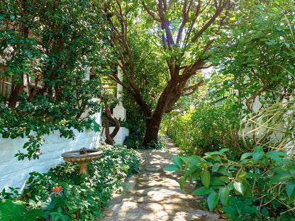 The Barracks Colesberg Northern Cape South Africa Plant, Nature, Tree, Wood, Garden