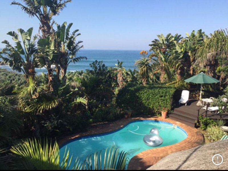 The Beach House Ramsgate South Margate Kwazulu Natal South Africa Complementary Colors, Beach, Nature, Sand, Palm Tree, Plant, Wood, Garden, Swimming Pool