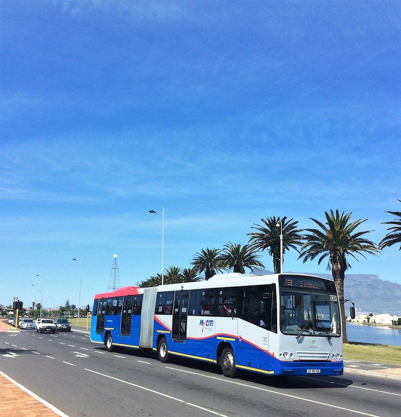 The Beach Room Milnerton Woodbridge Island Cape Town Western Cape South Africa Bus, Vehicle, Beach, Nature, Sand, Palm Tree, Plant, Wood, Street