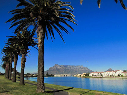 The Beach Room Milnerton Woodbridge Island Cape Town Western Cape South Africa Palm Tree, Plant, Nature, Wood, City, Architecture, Building