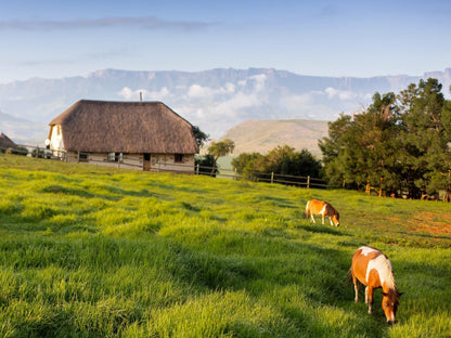 The Berghouse And Cottages Bergville Kwazulu Natal South Africa Complementary Colors, Colorful