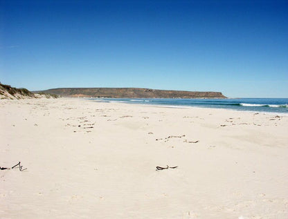 The Berries Elands Bay Western Cape South Africa Beach, Nature, Sand