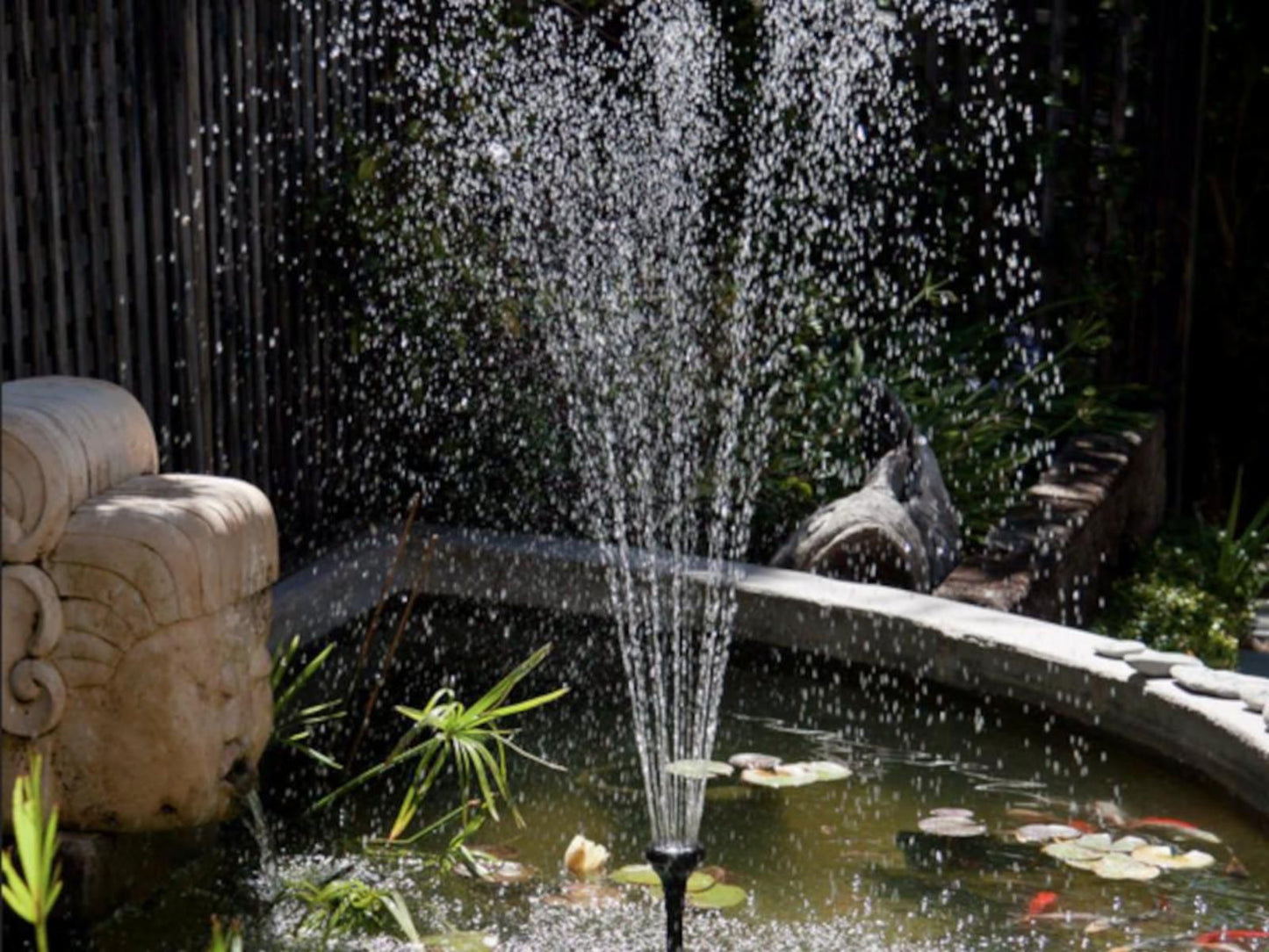 The Cape Bali Camps Bay Cape Town Western Cape South Africa Fountain, Architecture, Garden, Nature, Plant