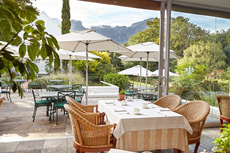 Cellars Hohenort Hotel Constantia Cape Town Western Cape South Africa Bar
