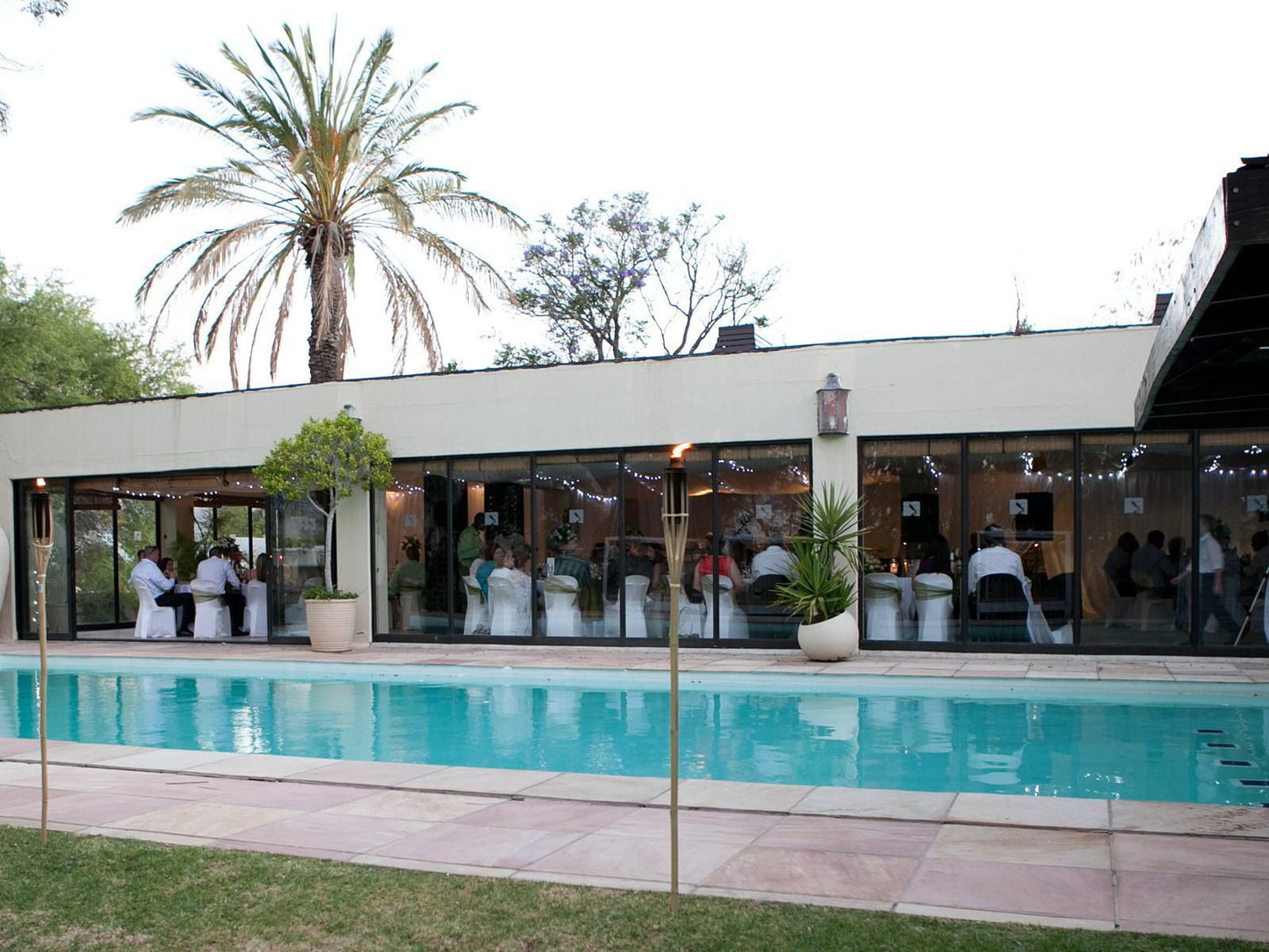 Clanwilliam Lodge Clanwilliam Western Cape South Africa Palm Tree, Plant, Nature, Wood, Bar, Swimming Pool