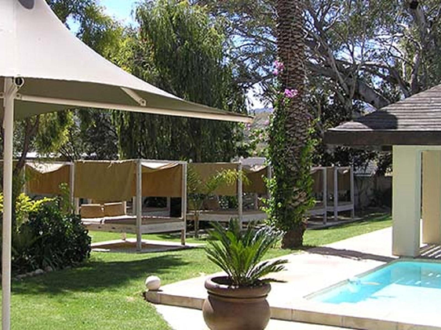 Clanwilliam Lodge Clanwilliam Western Cape South Africa Palm Tree, Plant, Nature, Wood, Garden, Swimming Pool