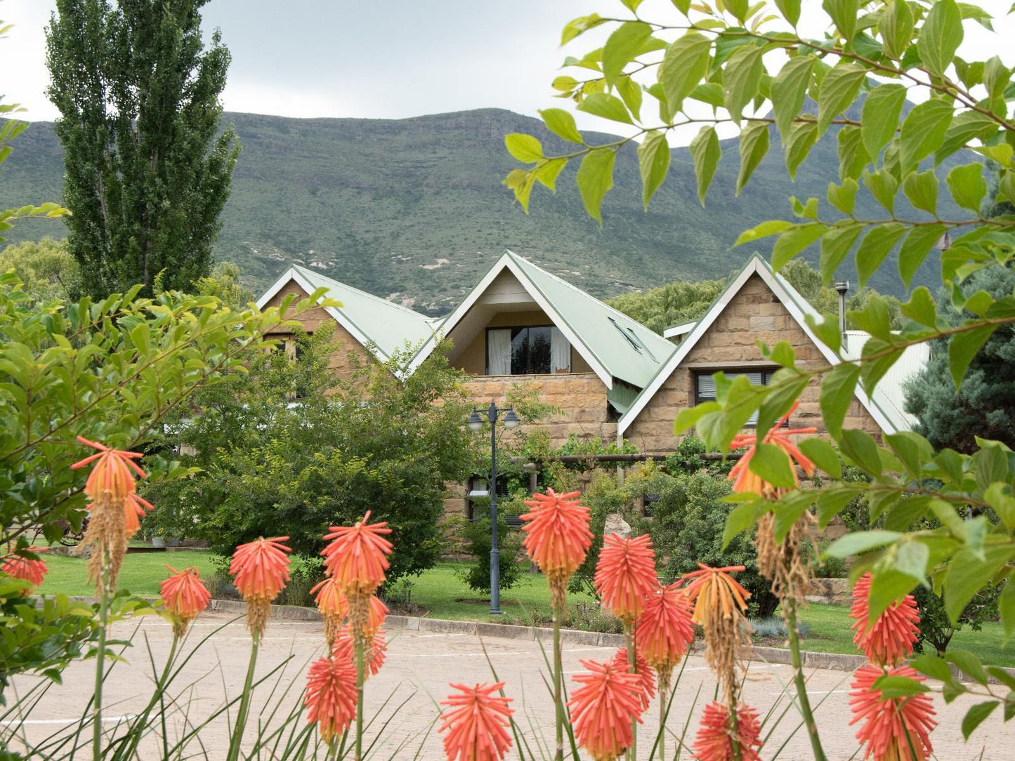 The Clarens Country House Clarens Free State South Africa Mountain, Nature, Plant