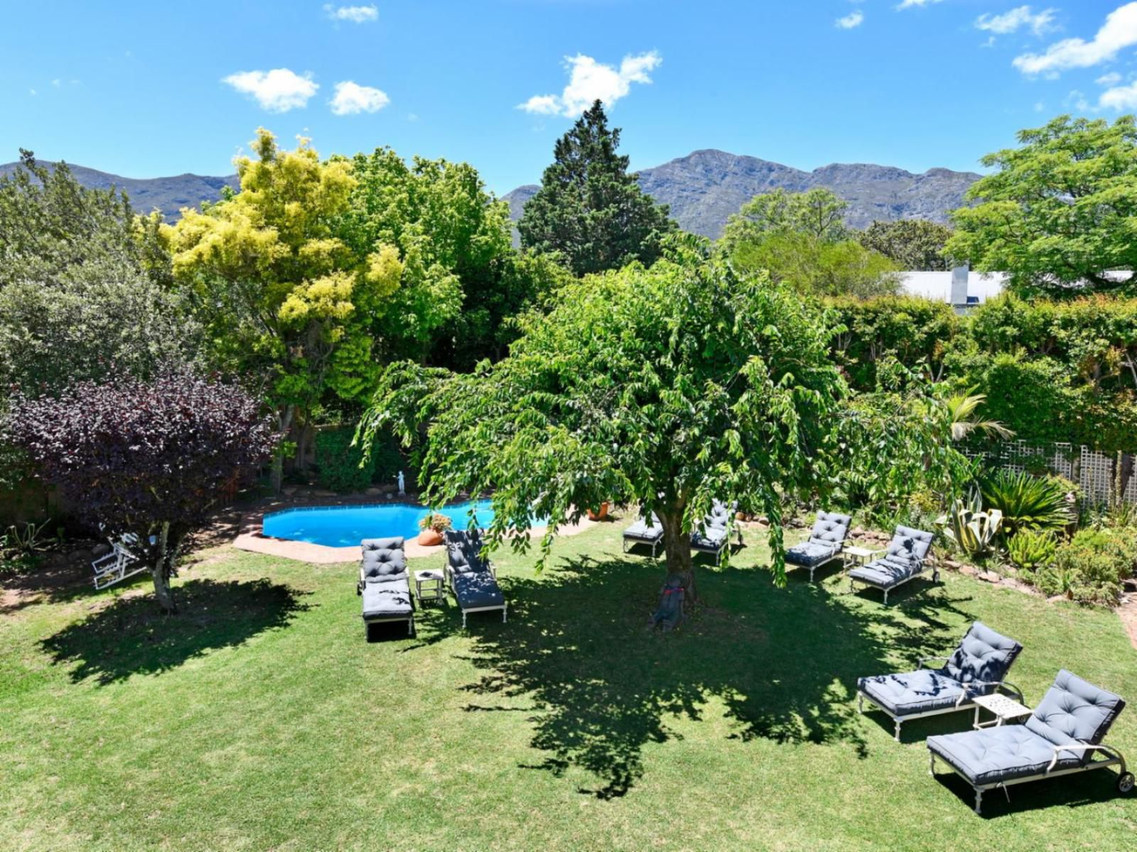 The Coach House Franschhoek Western Cape South Africa Complementary Colors, Plant, Nature