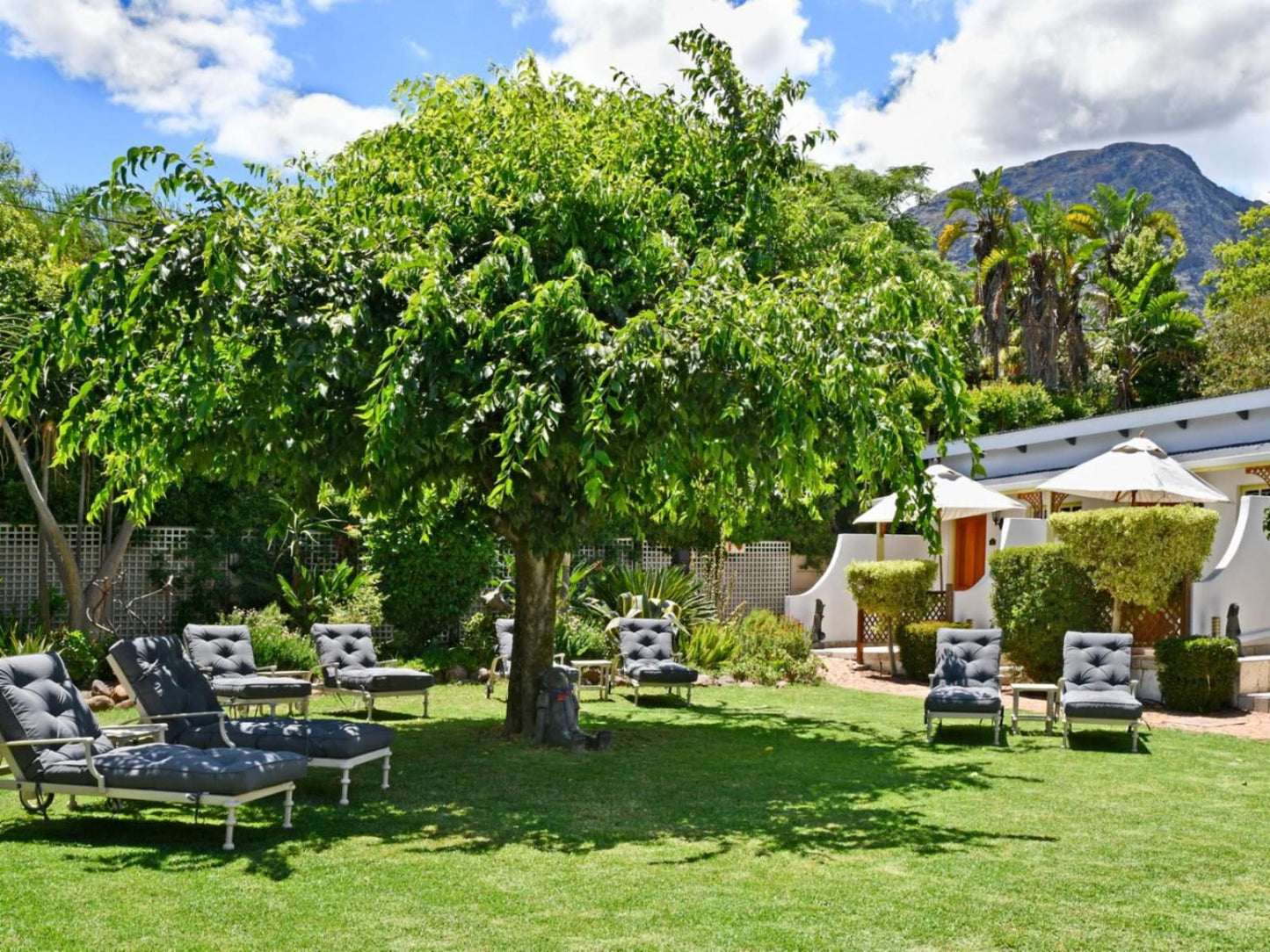 The Coach House Franschhoek Western Cape South Africa House, Building, Architecture, Palm Tree, Plant, Nature, Wood