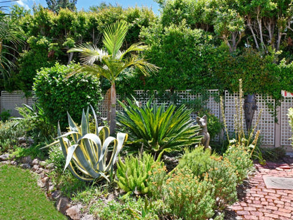 The Coach House Franschhoek Western Cape South Africa Palm Tree, Plant, Nature, Wood, Garden