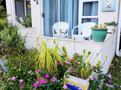 The Coelacanth Guesthouse Kidd S Beach Eastern Cape South Africa Complementary Colors, House, Building, Architecture, Plant, Nature, Garden