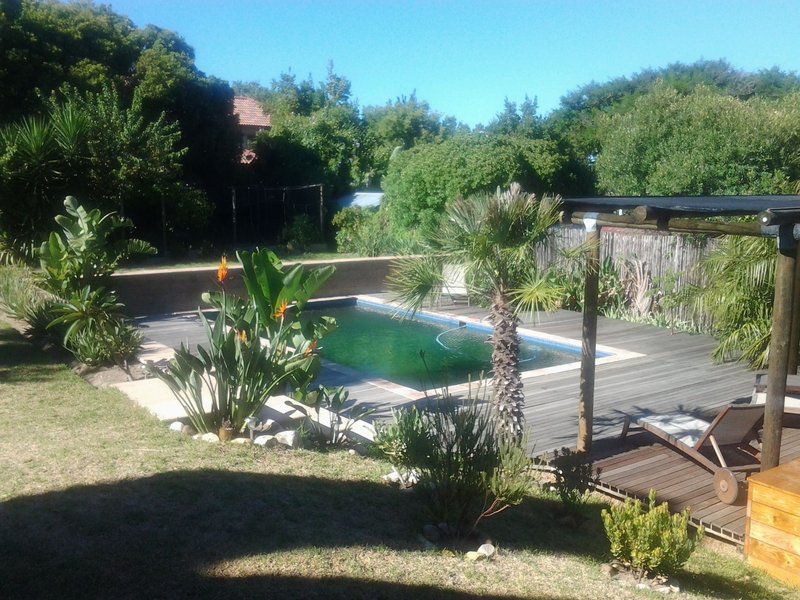 The Cottage Helena Heights Somerset West Western Cape South Africa Palm Tree, Plant, Nature, Wood, Garden, Swimming Pool